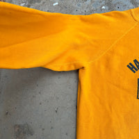 1970’s Harrison Park Panthers Raglan Crewneck Sweatshirt 23” Chest