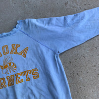 1960's Thrashed Anoka Hornets Raglan Sweatshirt Medium