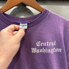 1970’s Champion Blue Bar Central Washington University T-Shirt Medium
