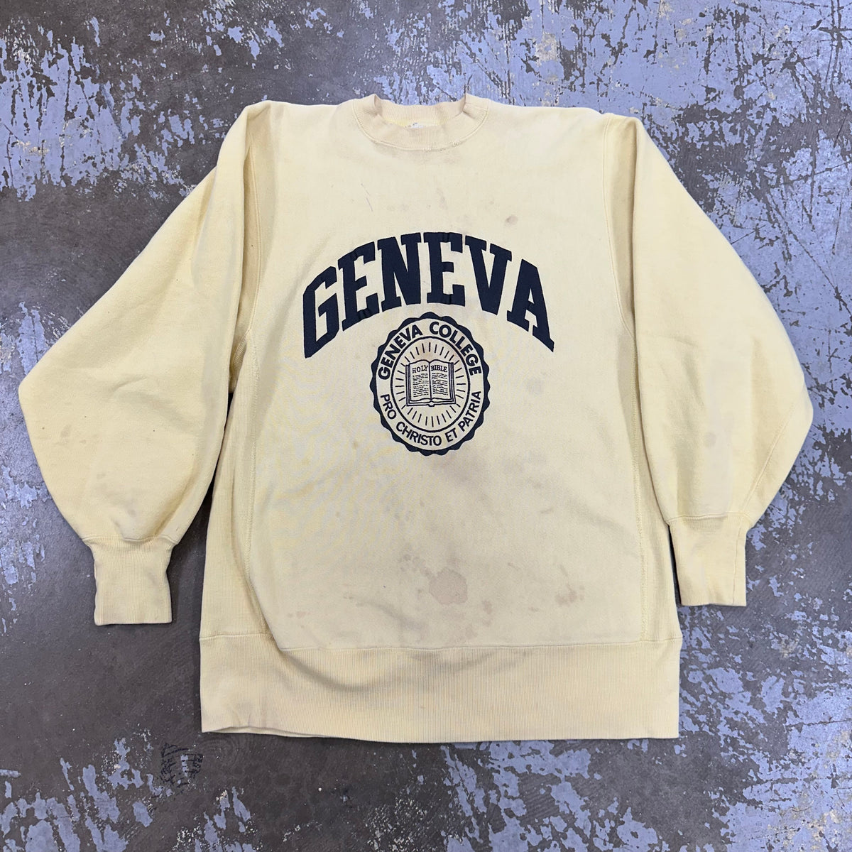 1980’s Geneva College Champion Reverse Weave Crewneck Sweatshirt Large