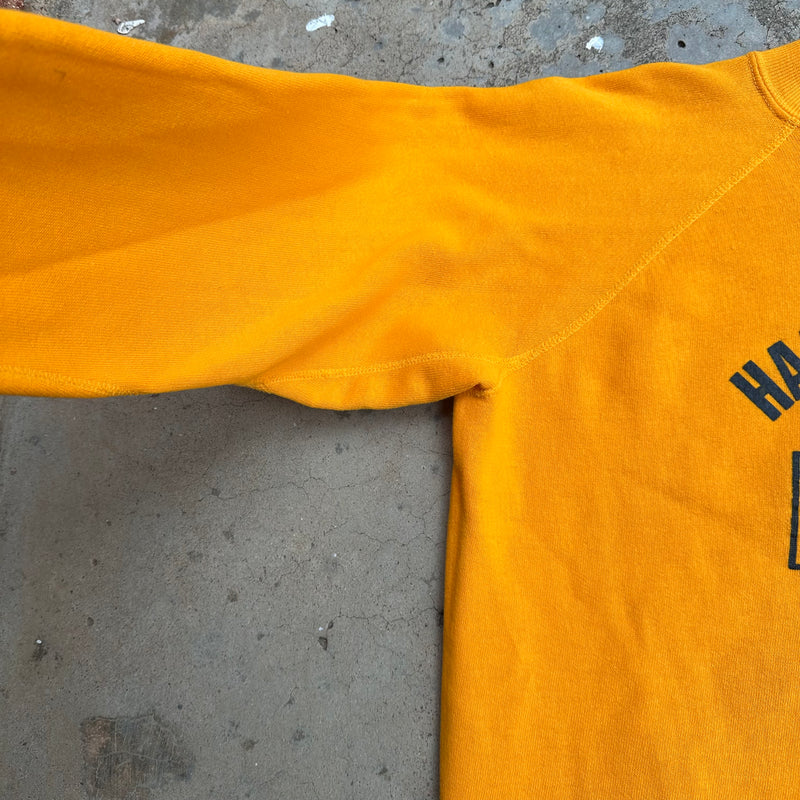 1970’s Harrison Park Panthers Raglan Crewneck Sweatshirt 23” Chest