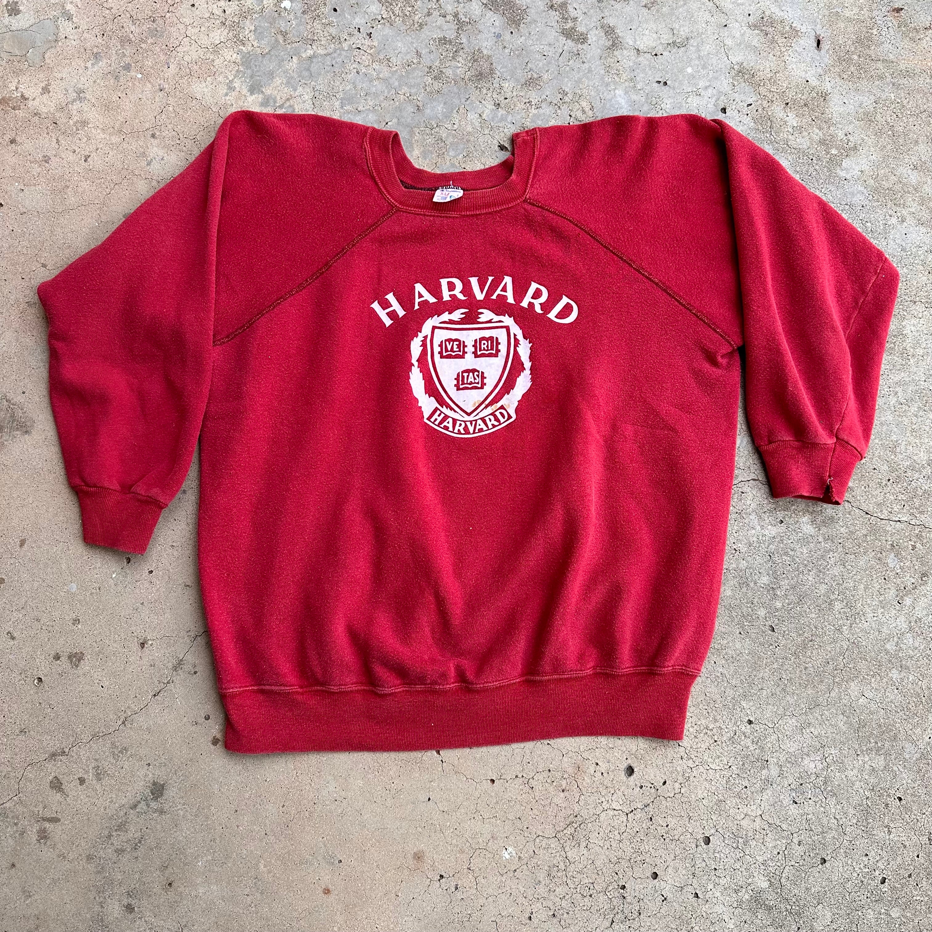 HARVARD Looks Like Chloe 7inch ハーバード Vtg CHAMPION HARVARD Medical School Hoodie Gray Sweatshirt