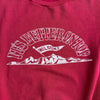 1970’s Wilson 3 Mountain Peak Russell Sweatshirt Medium