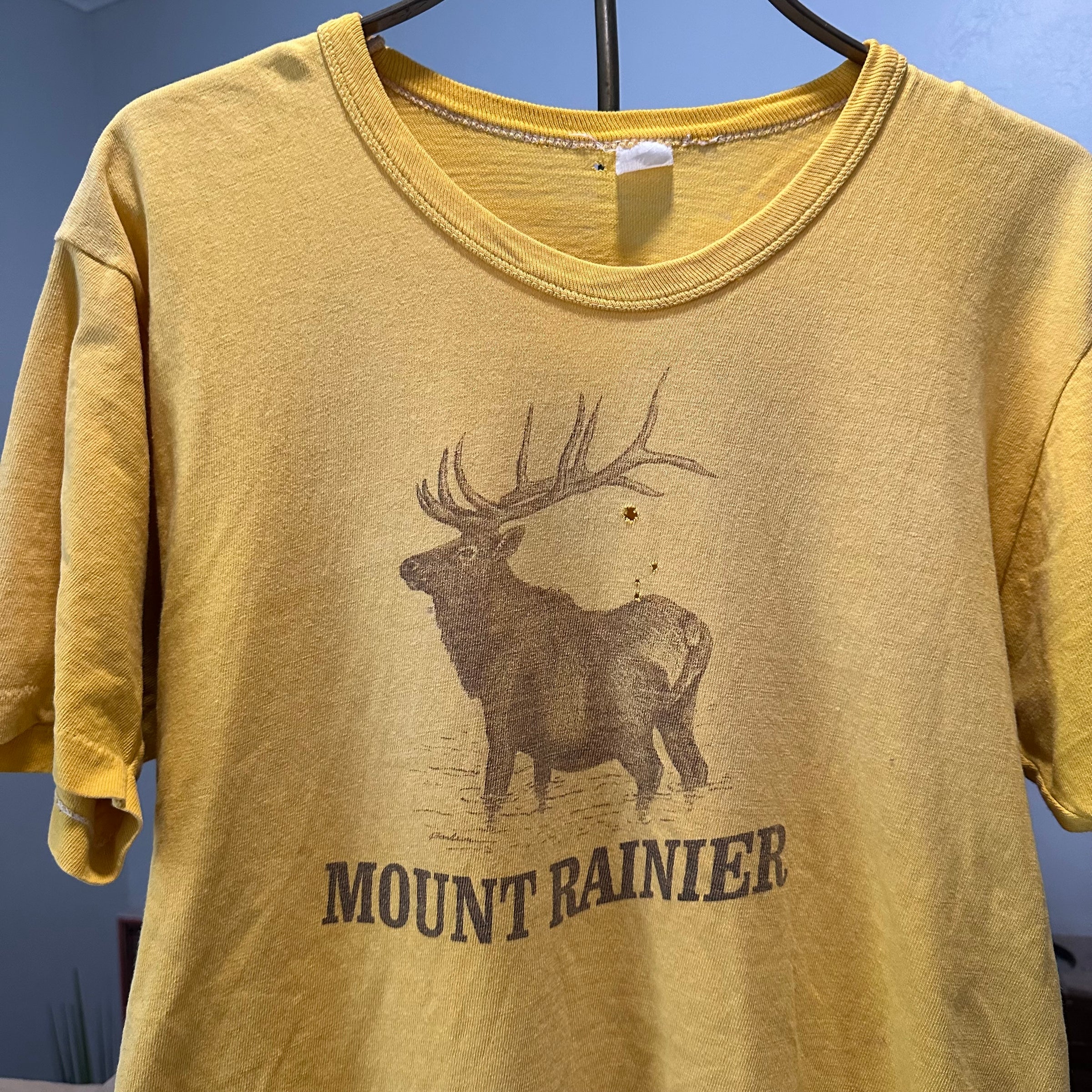 1970’s Mount Rainer Tourist T-Shirt Medium