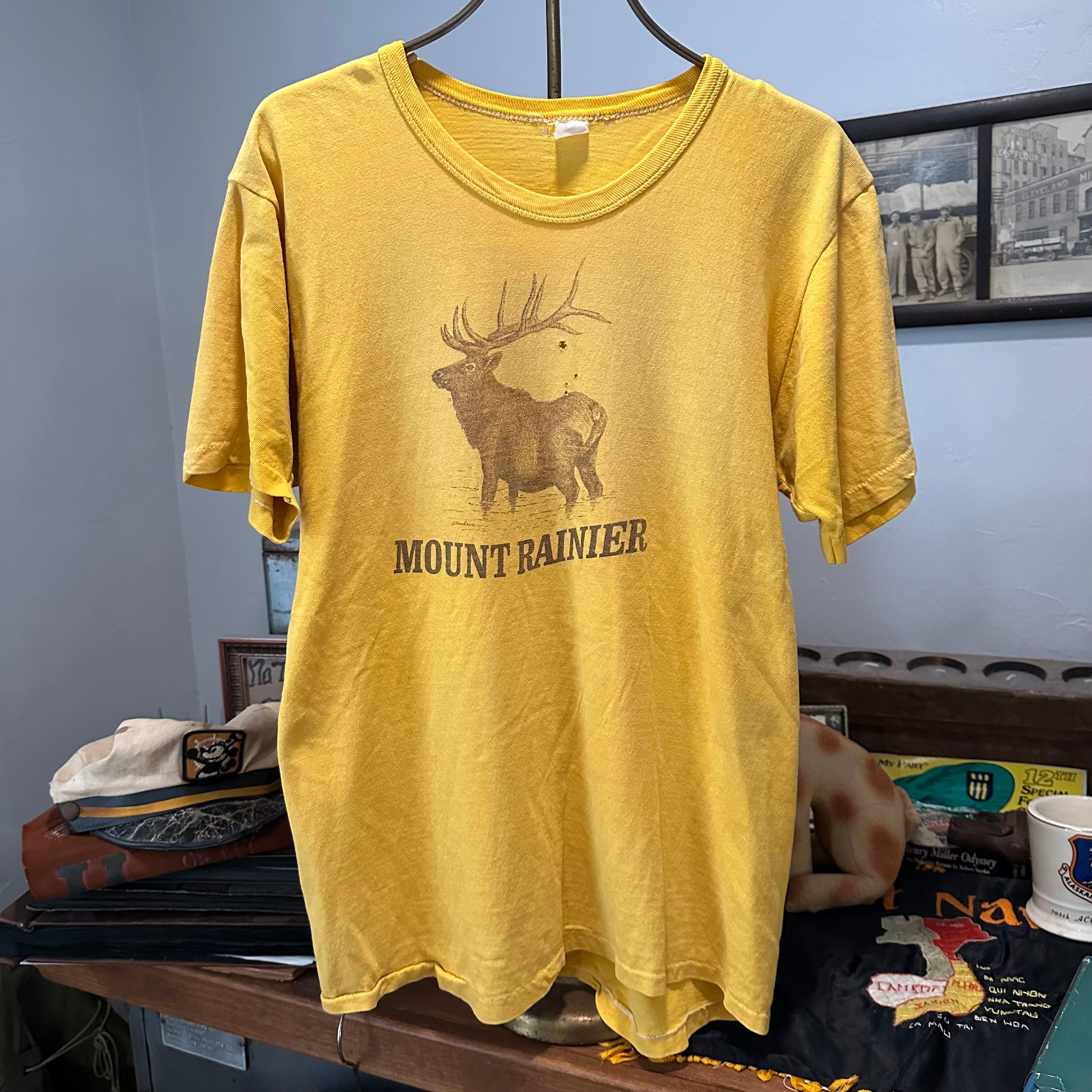 1970’s Mount Rainer Tourist T-Shirt Medium